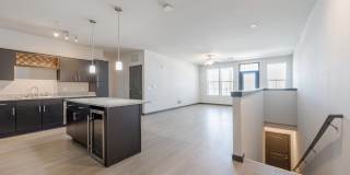 Ironwood at Happy Valley Gallery 39