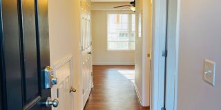 One Bedroom Garden Apartment Gallery 3