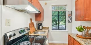 Cameron Court & Shelton Gallery 14