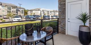 Holly Springs Gallery 17