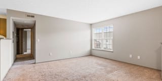 Bridgestone Gallery 45