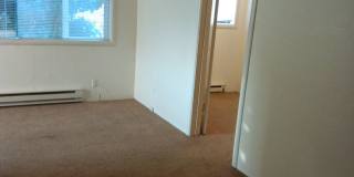 1359pe Gallery 4