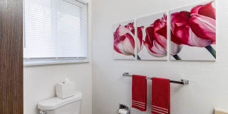 Pheasant Run Gallery 13