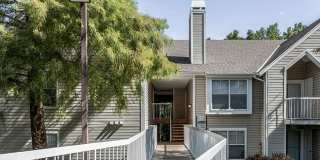 Whispering Lake Gallery 31