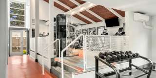 Driftwood Gallery 14