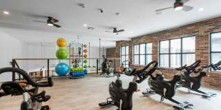 Troubadour Gallery 123