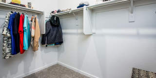 41885 W Celebration Lane Gallery 29