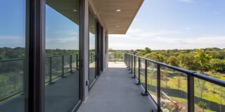 The Village Drey Gallery 32