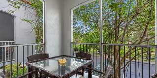 The Palms of Doral Gallery 43