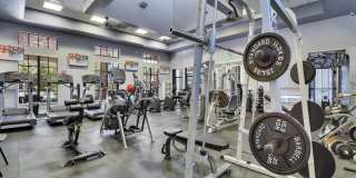 10093 Avalon Lake Circle Gallery 46