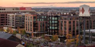 Rye House Gallery 50