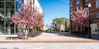 Faxon Commons Gallery 53