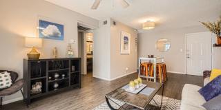 Element Austin Apartments Gallery 6