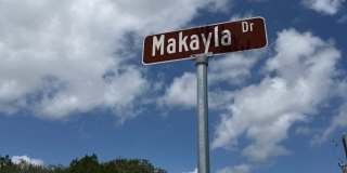 1008 Makayla Drive Gallery 5