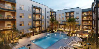 Album Surprise Album Surprise Gallery 1