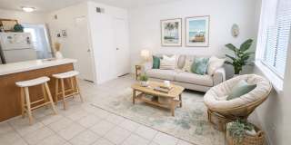 True 1 Bedroom Overlooking Doak Campbell True 1 Bedroom Overlooking Doak Campbell Gallery 1