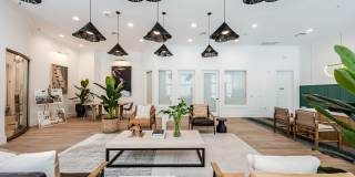 The Village at Lake Lily Gallery 9