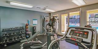 Sofi Canyon Hills Gallery 18