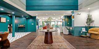 505 Collection Gallery 5