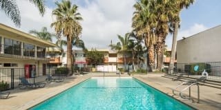 Las Palmas Apartments Gallery 3