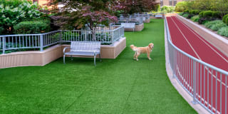 Grand Plaza Gallery 29