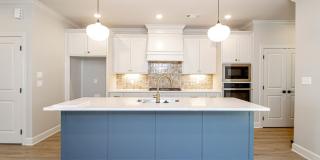 New Construction 4bd/3bth home Gallery 6