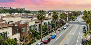 12871 Hammock Ln Gallery 49