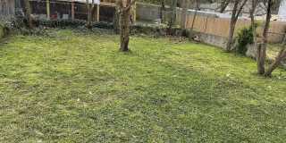 Room in 4 Bedroom Home at Mayson Turner Rd NW Gallery 11