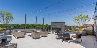 The Brody Gallery 18