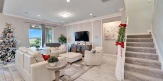 13316 Palmera Vista Drive Gallery 14