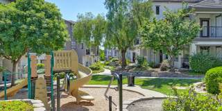 Coventry Park Gallery 52