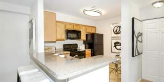 The Cloisters Gallery 49