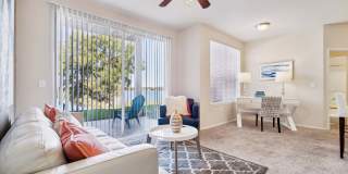 Vista Lake Ned Gallery 4