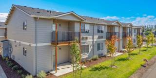 CHERRY SPRINGS Gallery 1