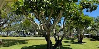 4 Westwood Avenue Gallery 9