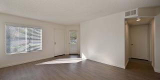 Elan Riverwalk Gallery 37