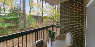 The Forest Apartments Gallery 13