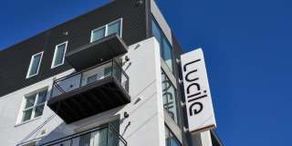 The Lucile Gallery 35