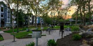 Bent Tree Gallery 19