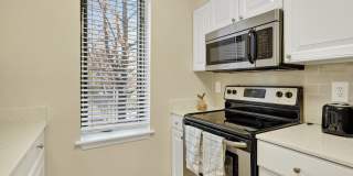 The Saratoga Gallery 2