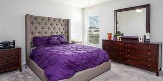 Gorgeous Three Bedroom in Towne Park Estates Gallery 17