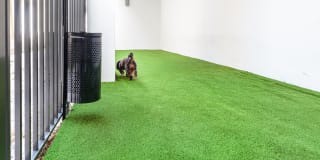 Grand Station Grand Station Gallery 20