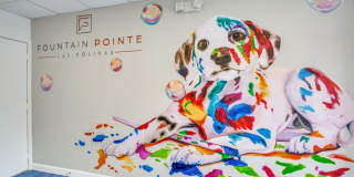 Fountain Pointe Las Colinas Gallery 64