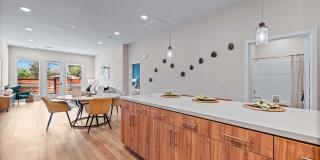 The Province Gallery 19