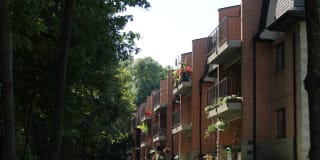 Pinewood Creek Gallery 1