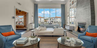 Terra Mar Gallery 33