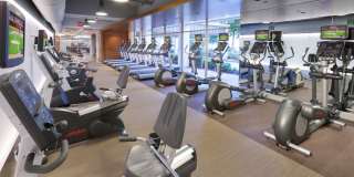 Willard Towers Gallery 17