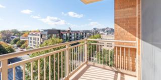 The Reserve at Clarendon Centre Gallery 10