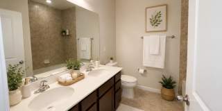 10783 SW Vasari Way Gallery 15