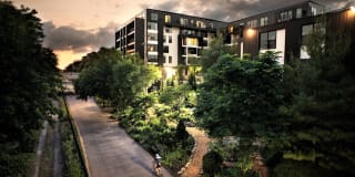 The Murals of LynLake Gallery 2